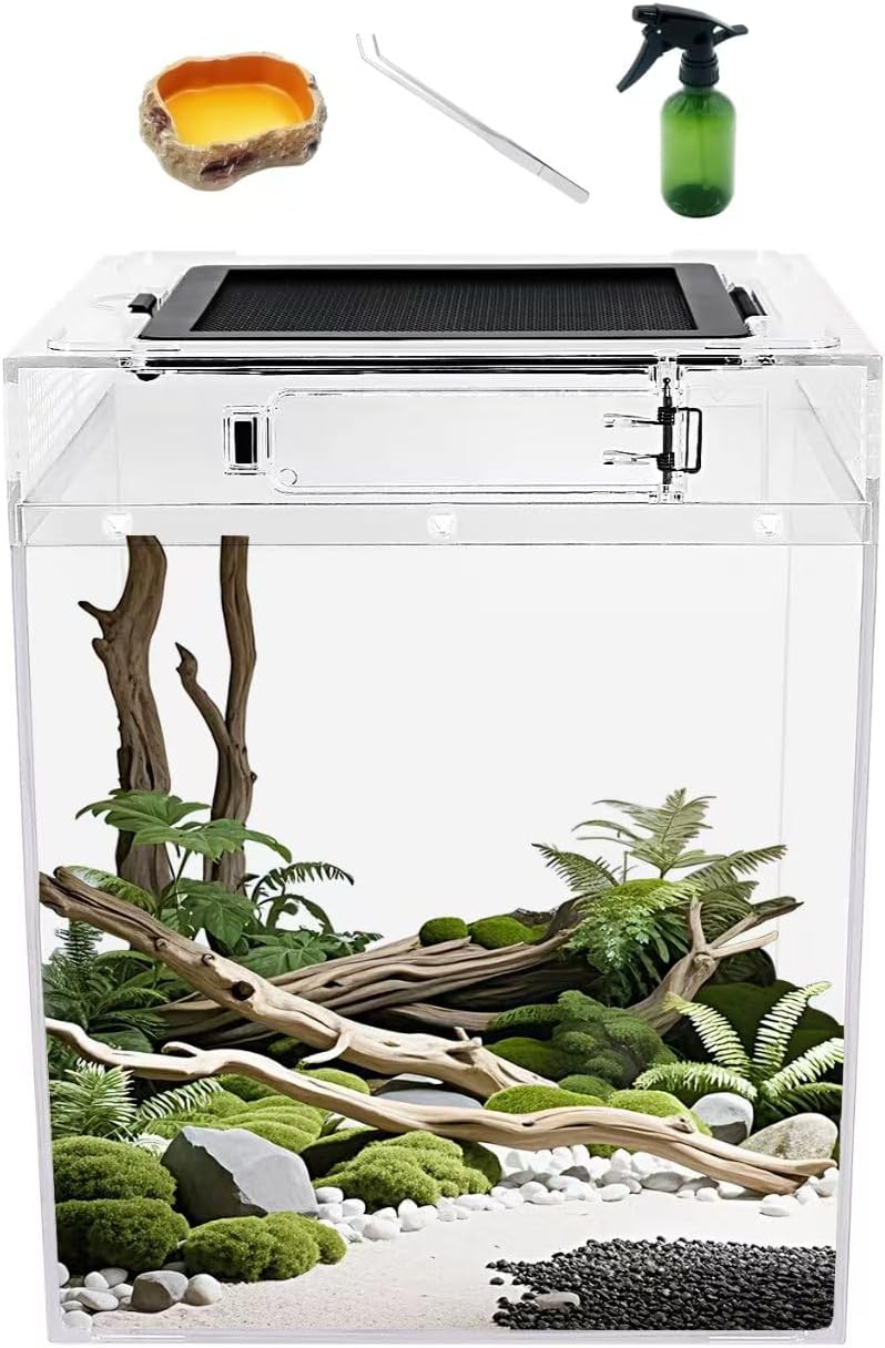 Reptile Growth Tall Terrarium set (PC), 8''*8''*11''with Top Sliding Door Screen Ventilation Reptile Terrariums for Snake, Frog,Insect,Tarantula,Hermit crab,Jumping spider,Iguana,Bearded dragon
