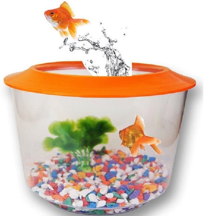 GOLDFISH STARTER SET KIT PACK TANK AQUARIUM BOWL LID GRAVEL PLANT GOLD FISH HOME