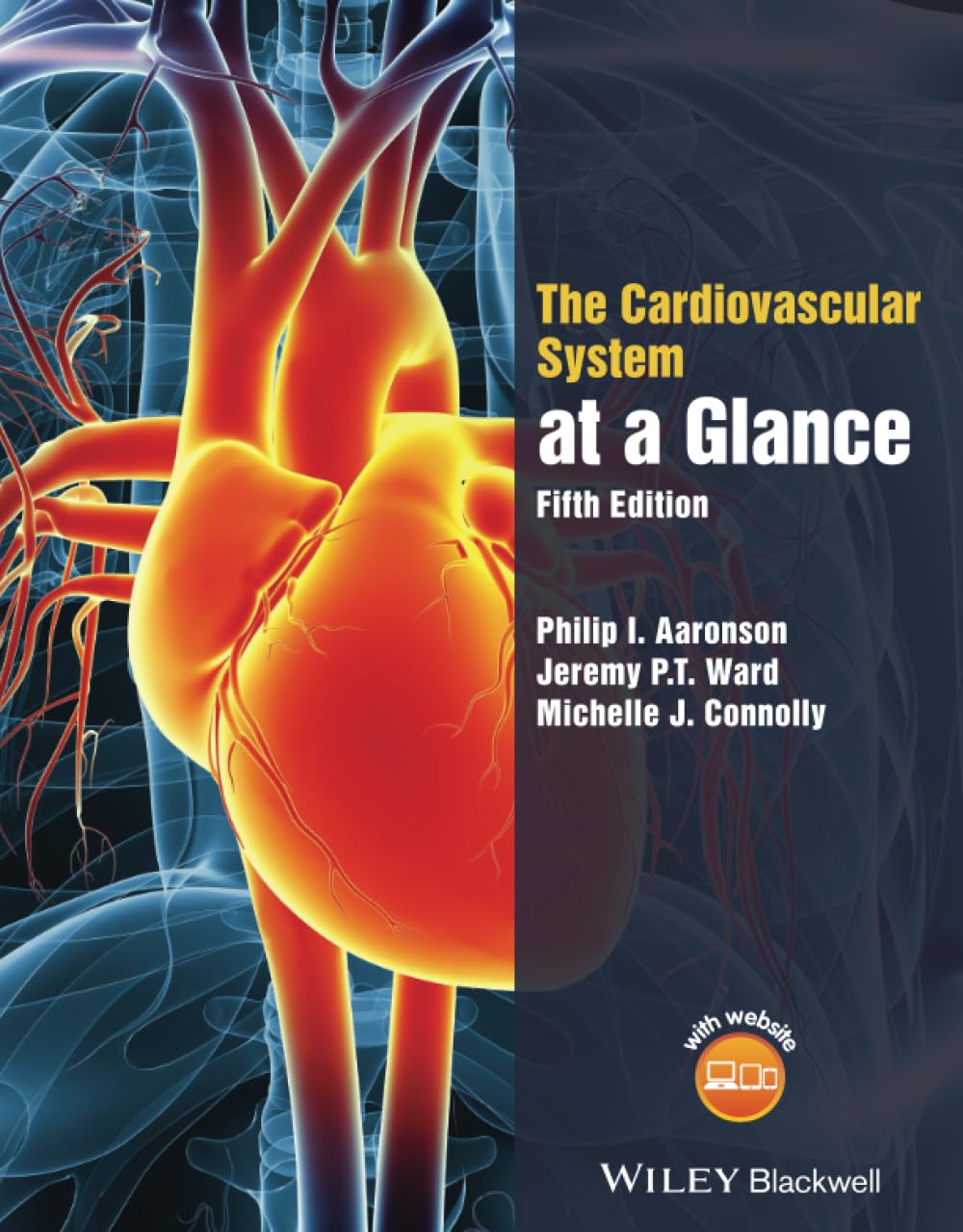 The Cardiovascular System at a Glance