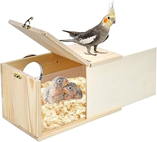 Parakeet Nesting Box Cockatiel Nesting Natural Pine Bird Nest Bird Breeding Box House Acrylic Transparent Bird Box with Detachable Wooden Board for Lovebirds Cockatiel Budgie Conure Parrot L