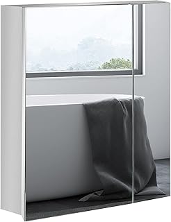 kleankin Wall-Mounted Medicine Cabinet with Mirror, Bathroom Mirror Cabinet Wall Mounted with Hinged Door, Storage Shelves for Living Room and Laundry Room, 21" x 24", Silver