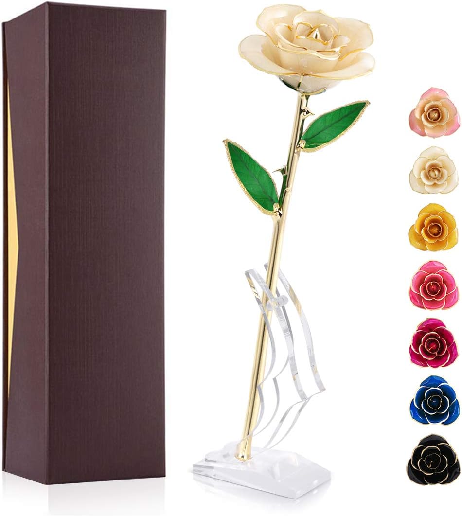 Ejoyous 24K Gold Rose, Forever Preserved Real Rose Lover Mom Wife Daughter Girl Friend, Unique Present on Valentines Day, Wedding Anniversary, Birthday, Proposal, Reward (Ivory