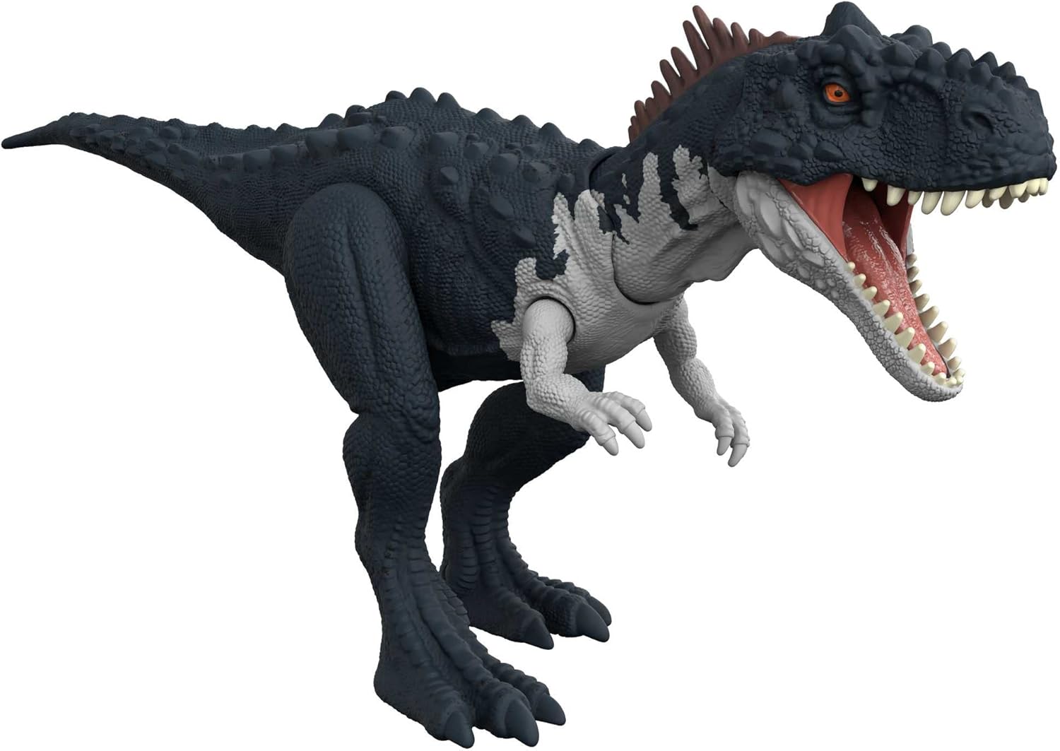 Jurassic World Dominion Roar Strikers Rajasaurus Carnivore Dinosaur Action Roar Sound, Neck Stretch Chomp, Physical & Digital Play, 4 Years & Up, HDX45,Multicolor,13 inch