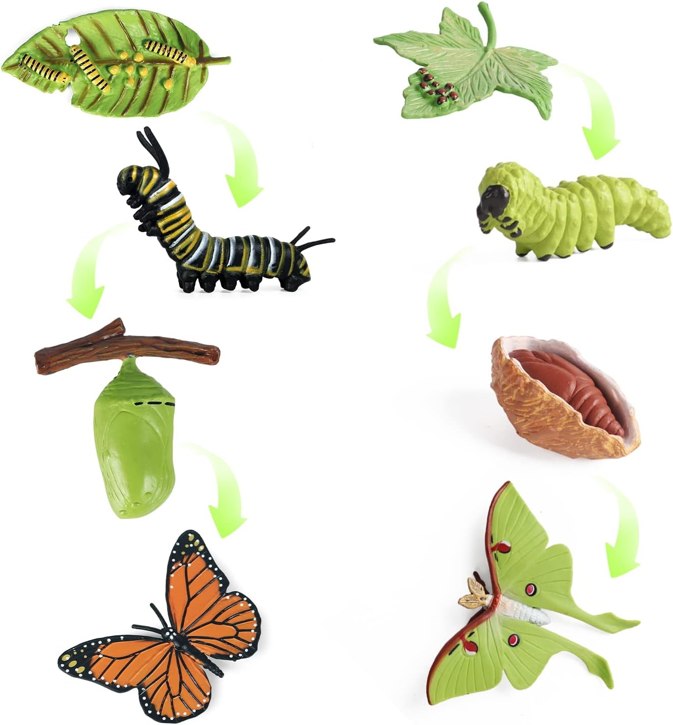 SIENON 4pcs Butterfly Life Cycle Toy Figurines and 4pcs Actias Ningpoana Figure-Plastic Caterpillar to Monarch Butterfly Growth Cycle Toy Insect Figures Teaching Tools School Project for Kids