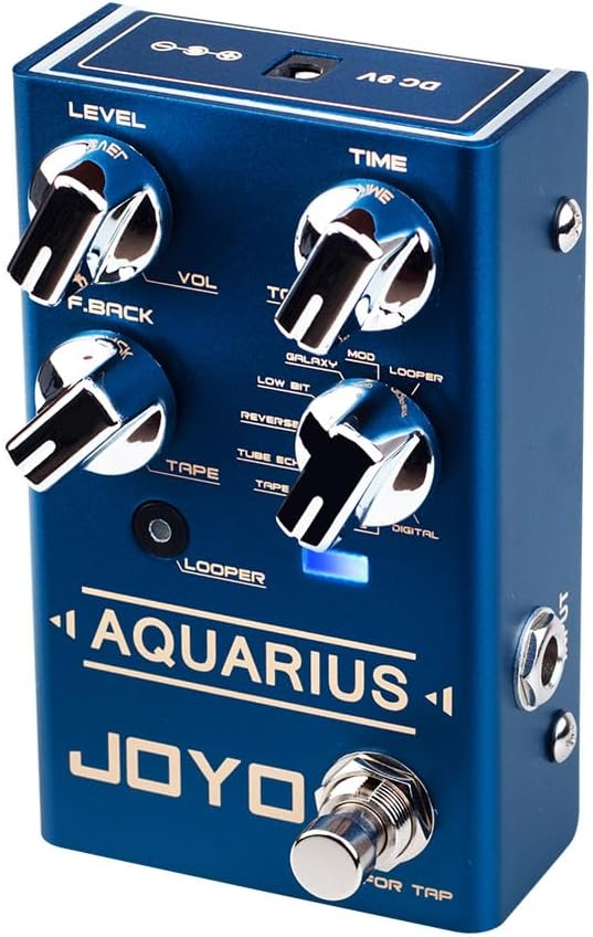 JOYO Digital Delay Effect Pedal with Looper (5 Minutes) R Series 8 Digital Delay Effects for Electric Guitar (Aquarius R-07)