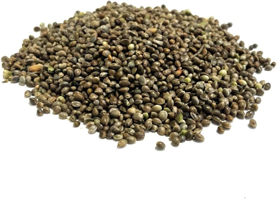 MALTBYS' STORES 1904 LTD Hemp Seed 5kg Quality Fishing Bait and Bird Seed
