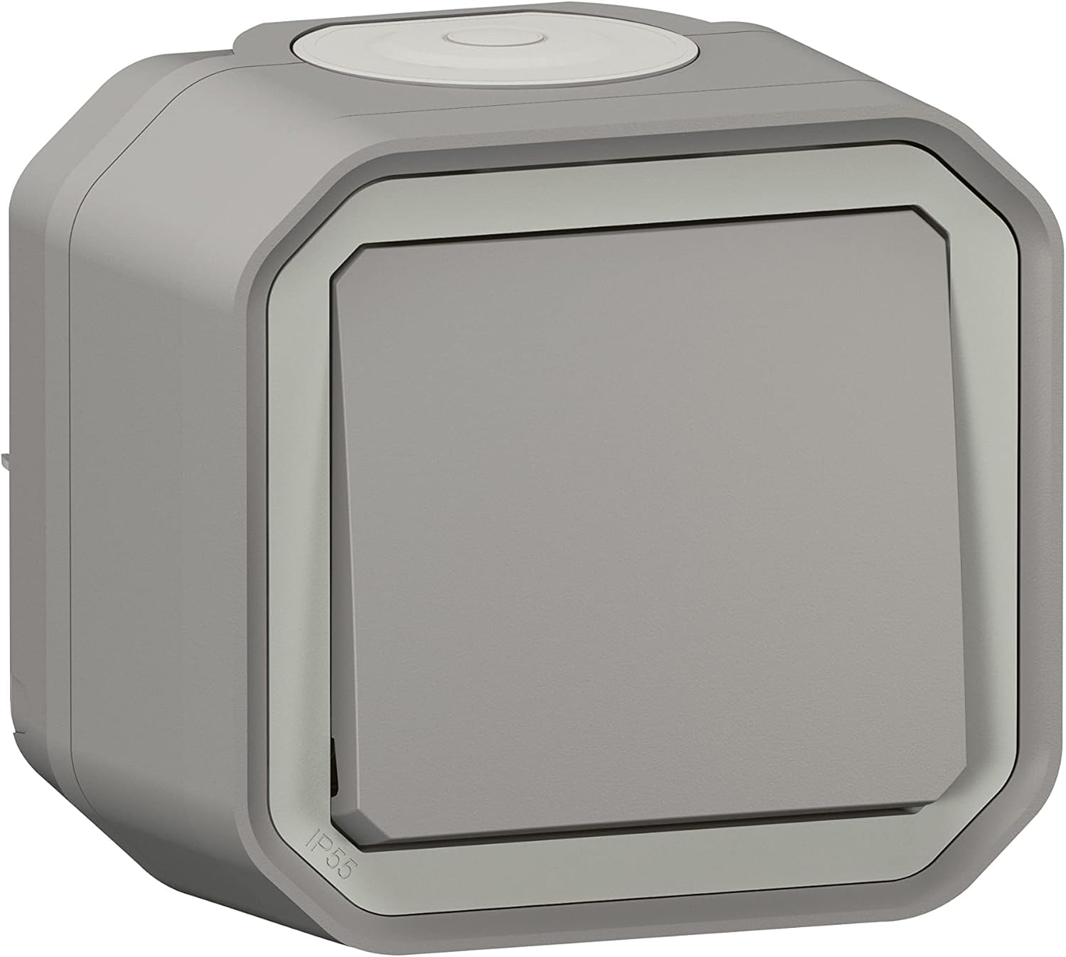 Legrand - Plexo 10A waterproof two-way or two-way switch delivered complete for mounting in grey