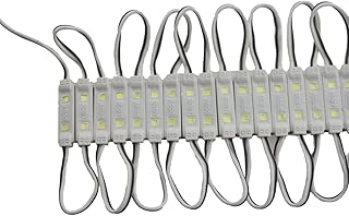 REXTiN Super Bright 200pcs Mini 2835 2 LED Module DC12V Waterproof Decorative Light for Letter Sign Advertising Signs with Tape Adhesive Backside (White)