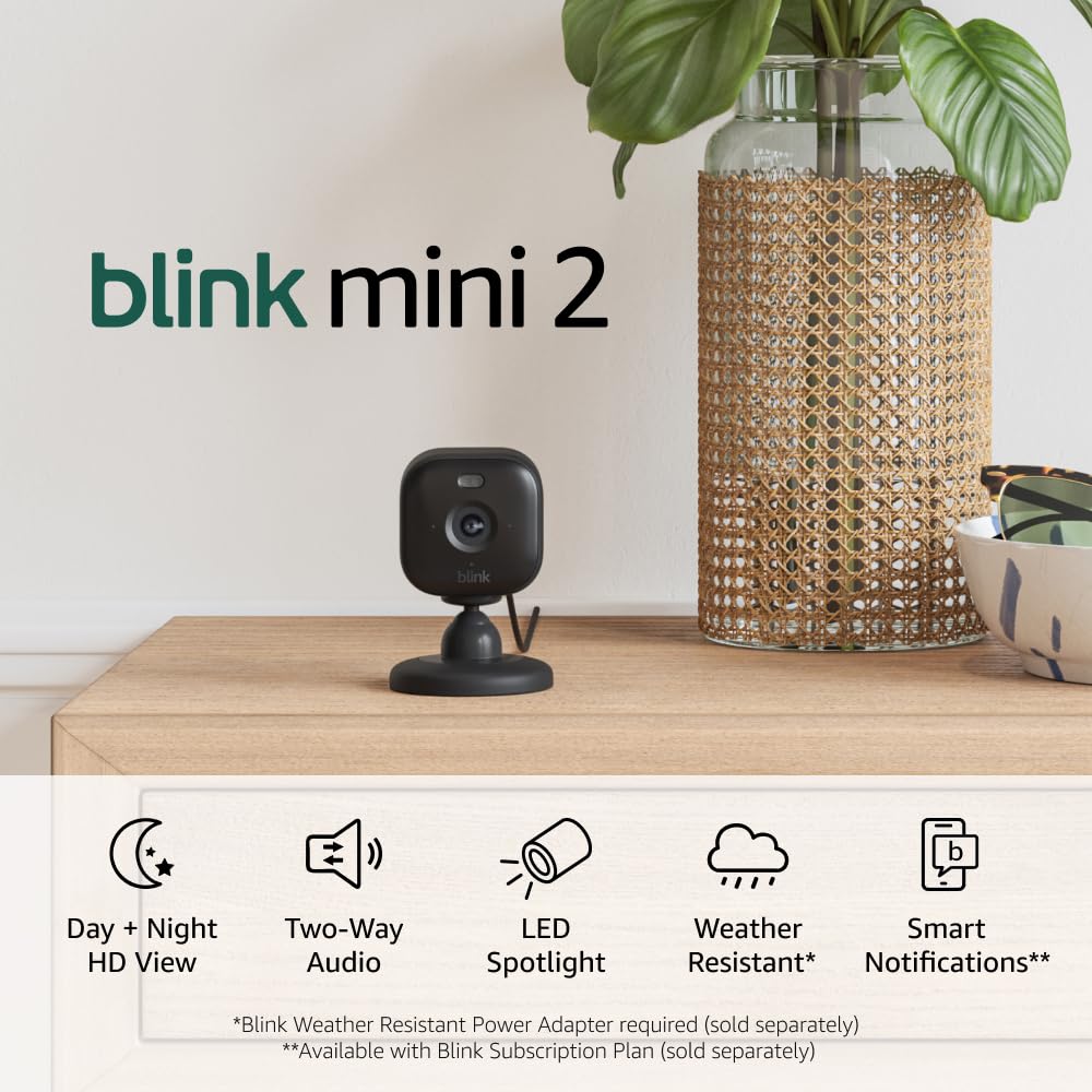 Blink Mini 2 — Home Security & Pet Camera(s) with HD video, color night view, motion detection, two-way audio, and built-in spotlight — 1 camera (Black)