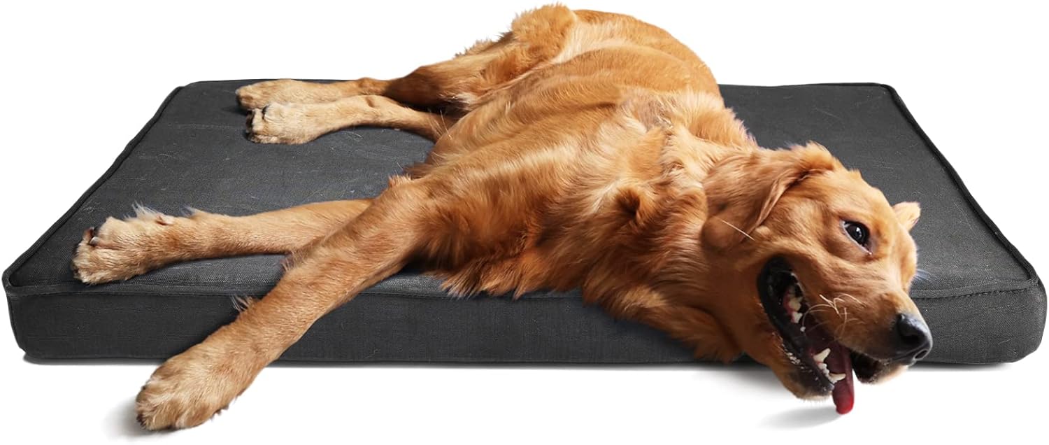 Indestructible Bed for Aggressive Chewers - Waterproof, Heavy Duty, Chew Proof for Large Dogs - Removable, Washable Cover - Orthopedic Memory Foam, Durable Tough Mat for Crate 41"x27"