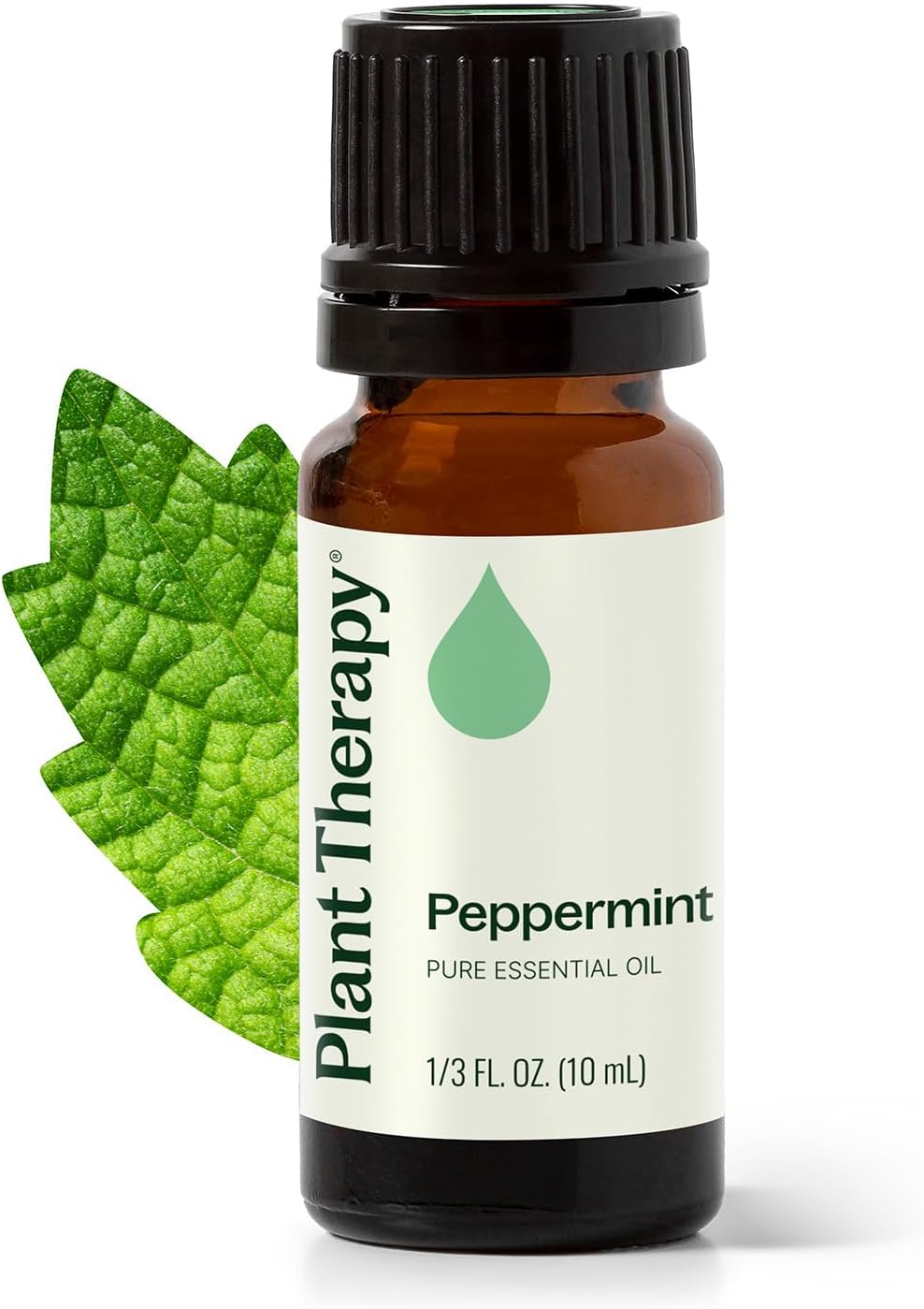 Plant Therapy Peppermint Essential Oil 10 mL (1/3 oz) Natural Aromatherapy