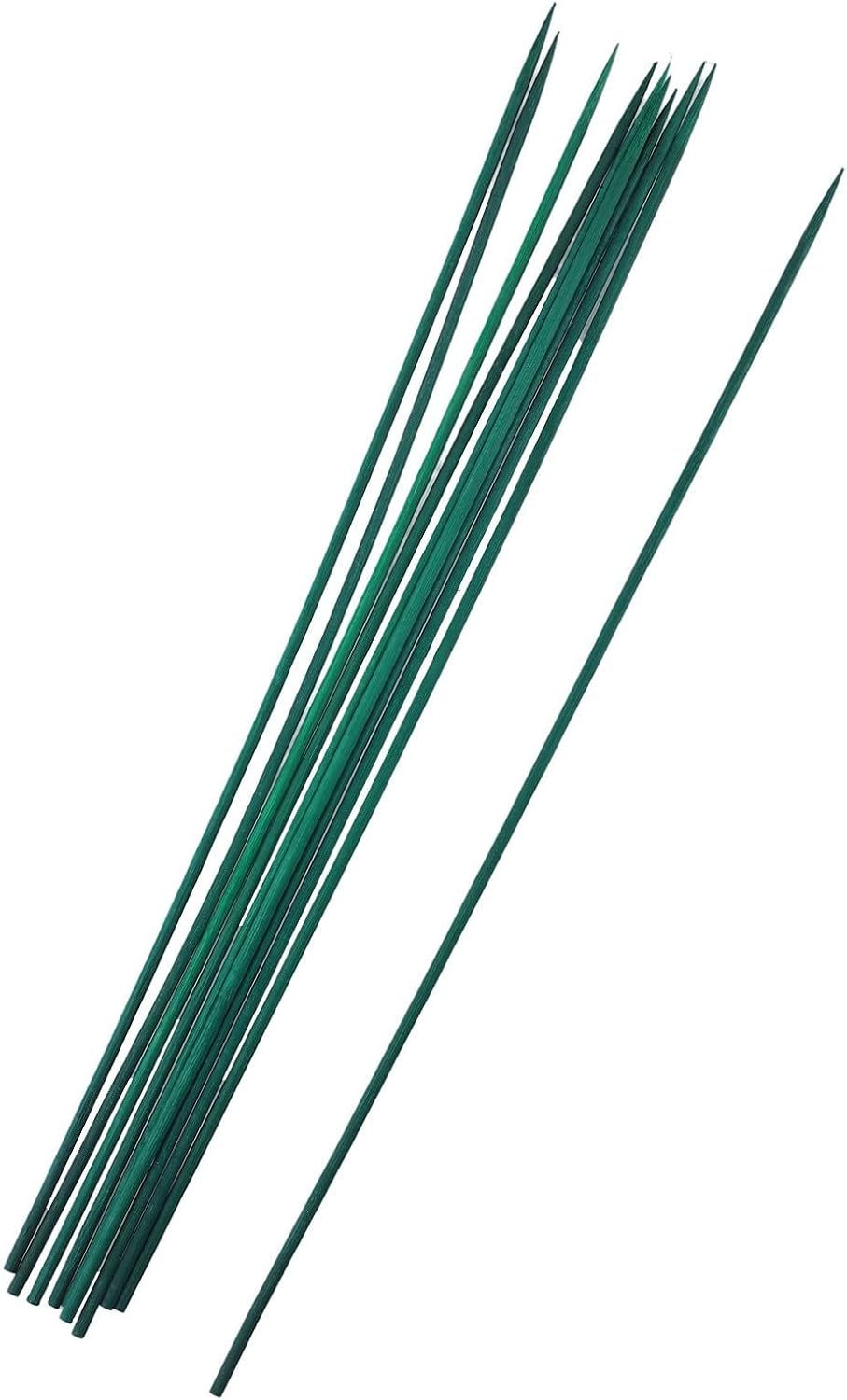 Reliable Green Plant Support Canes, 40cm Wooden Sticks for Tomato Vine Planting