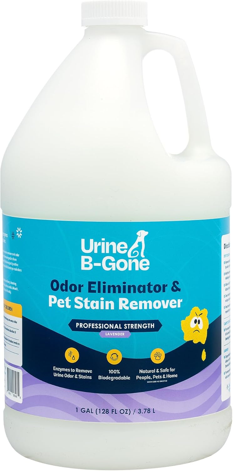KINZUA ENVIRONMENTAL Urine B-Gone, Professional Enzyme Odor Eliminator & Pet Stain Remover, Human, Cat & Dog Urine Cleaner, Effective on Laundry, Carpets & More (3.79Liter (Pack of 1), Lavender)