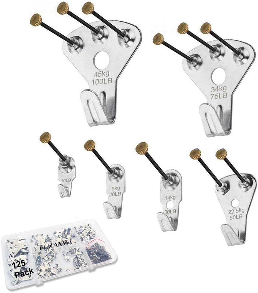Picture Hangers, 125Pcs Heavy Duty Picture Hanging Kit, Picture Hanging Hooks with Nails, Wall Hangers, Wall Hanging Kit for Drywall/Wooden Wall, Holds 10-100 lbs(Silver)