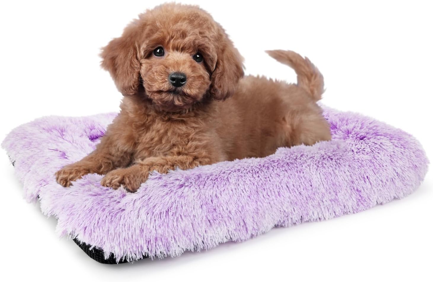 24 Inch Dog Crate Bed for Small Dogs Washable Orthopedic Flat for Inside Crate Cages Kennel House Sofa Plush Comfy Sleeping