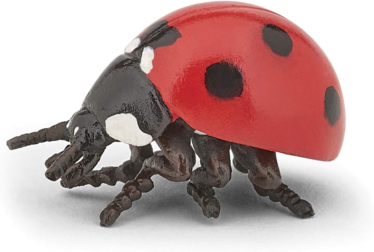 Papo - Figurine animal - Coccinelle, porte chance, Children's toy from 3 years - Insect Discovery
