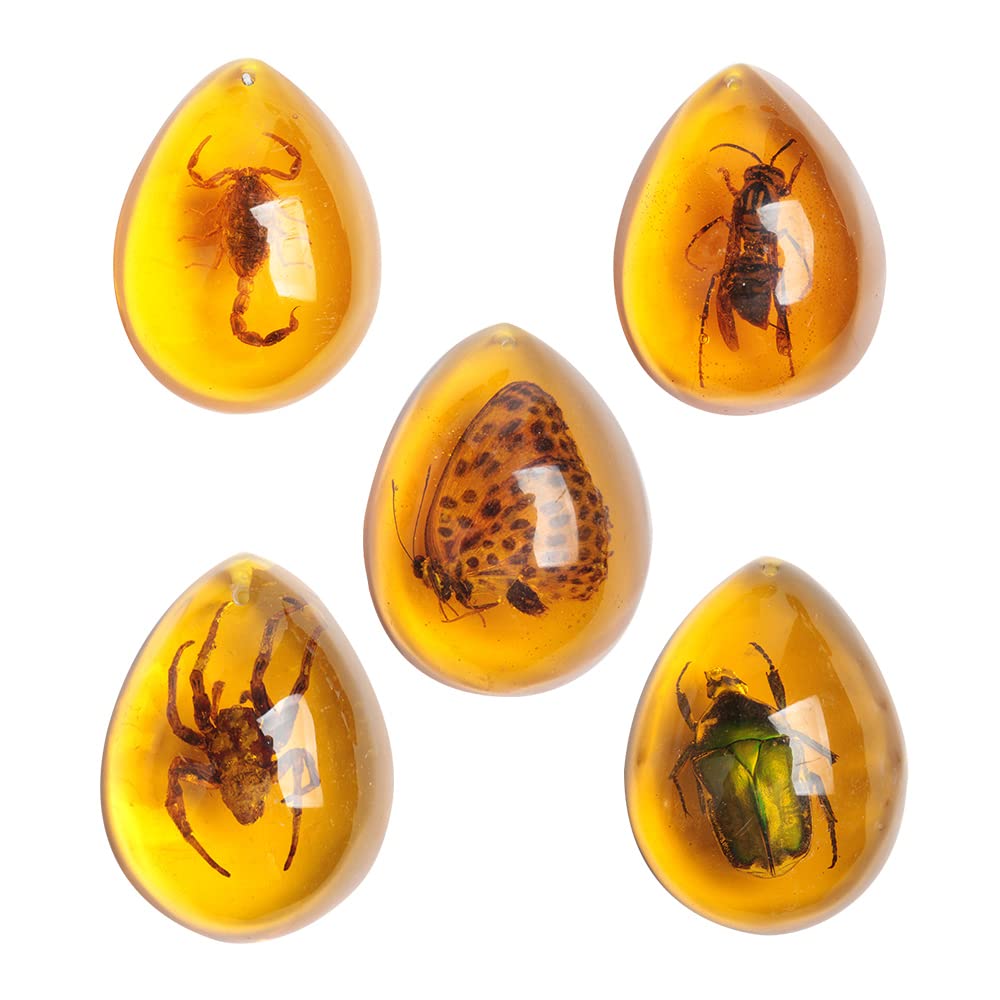 Acxico 5pcs Amber Fossil with Insects Samples Stones Crystal Specimens Home Decorations Collection Oval Pendant (Green Armor + Scorpion + Flower Butterfly + Wasp + Spider)