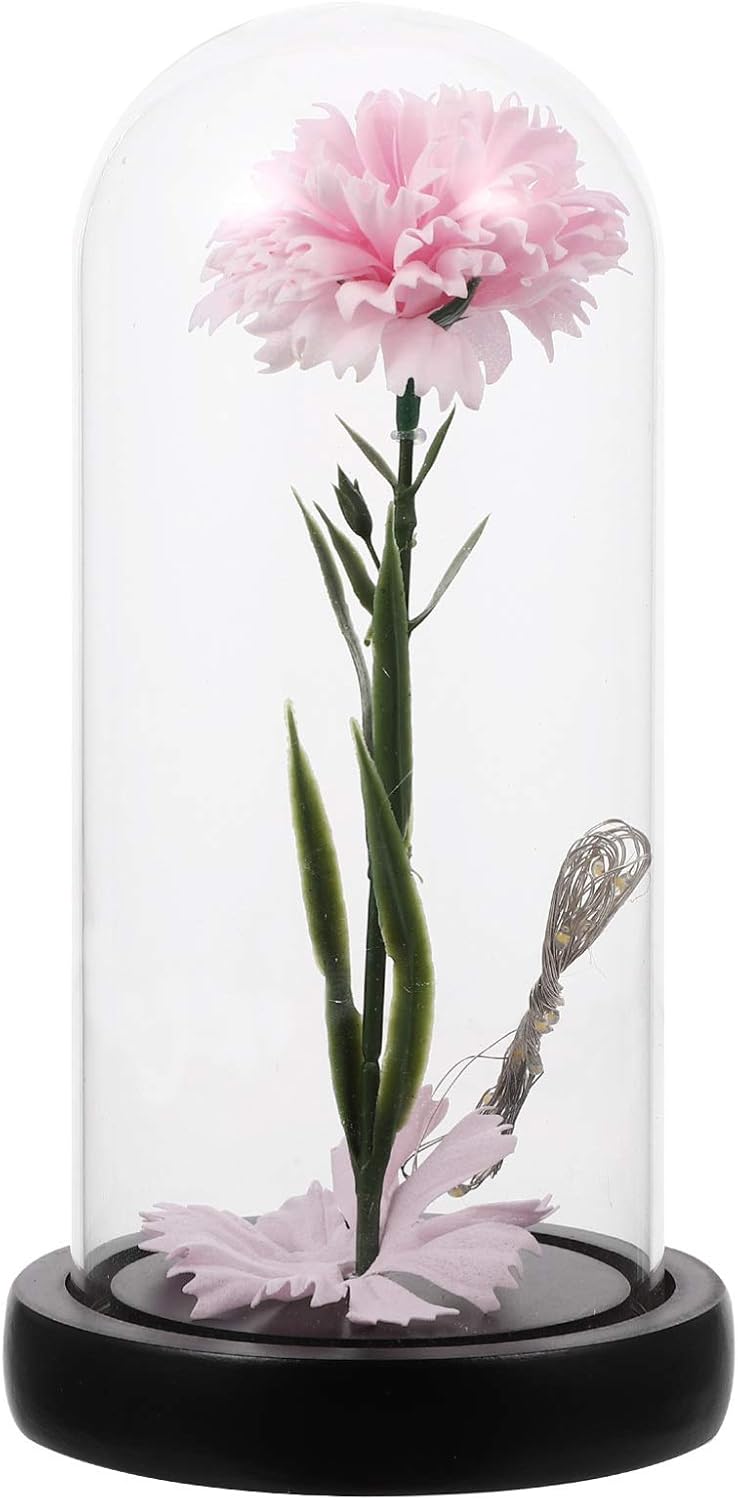 Amosfun Preserved Carnation In Glass Dome with Led Lights Everlasting Valentines Day Birthday Pink