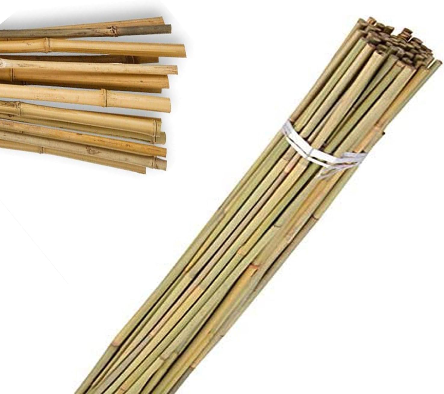 WILSONS DIRECT - Large Thick Natural Bamboo Canes – Heavy Duty Garden Plant Support Sticks for Flowers, Vegetables & Trellis – Durable & Strong Pole – Multiple Lengths 2ft to 6ft (10, 2FT (60cm))