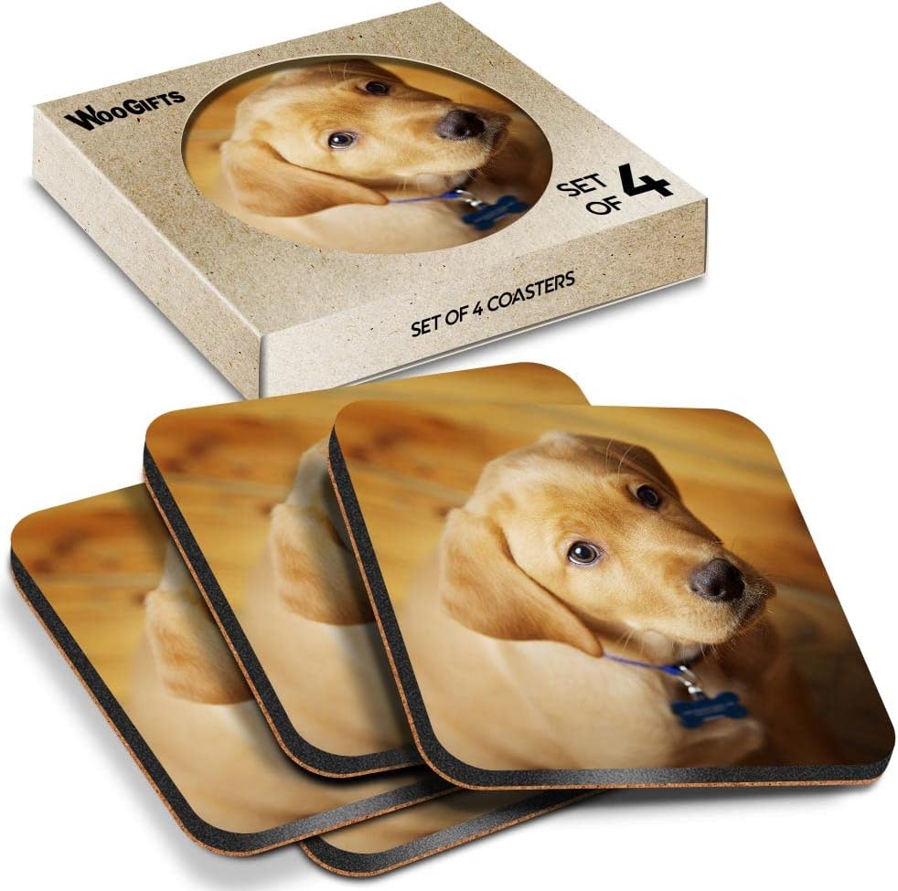 4 x Square Coasters - Adorable Yellow Labrador Dog Puppy Cork Backed MDF Glossy Tea Coffee Accessory #50036