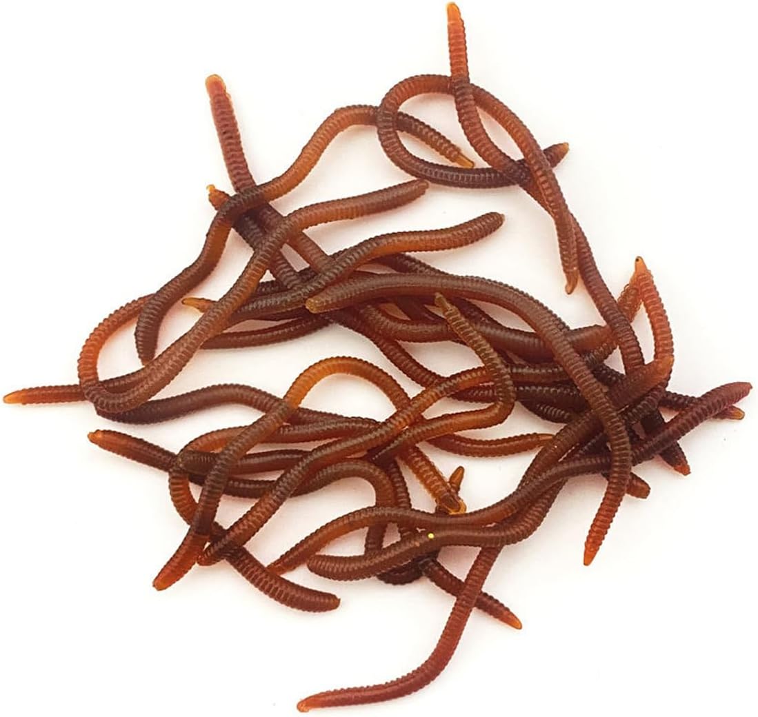 FOLANDO 20PCS Soft Fishing Lures, 10CM Earthworm Soft Plastic Baits for Bass, Trout, Redfish