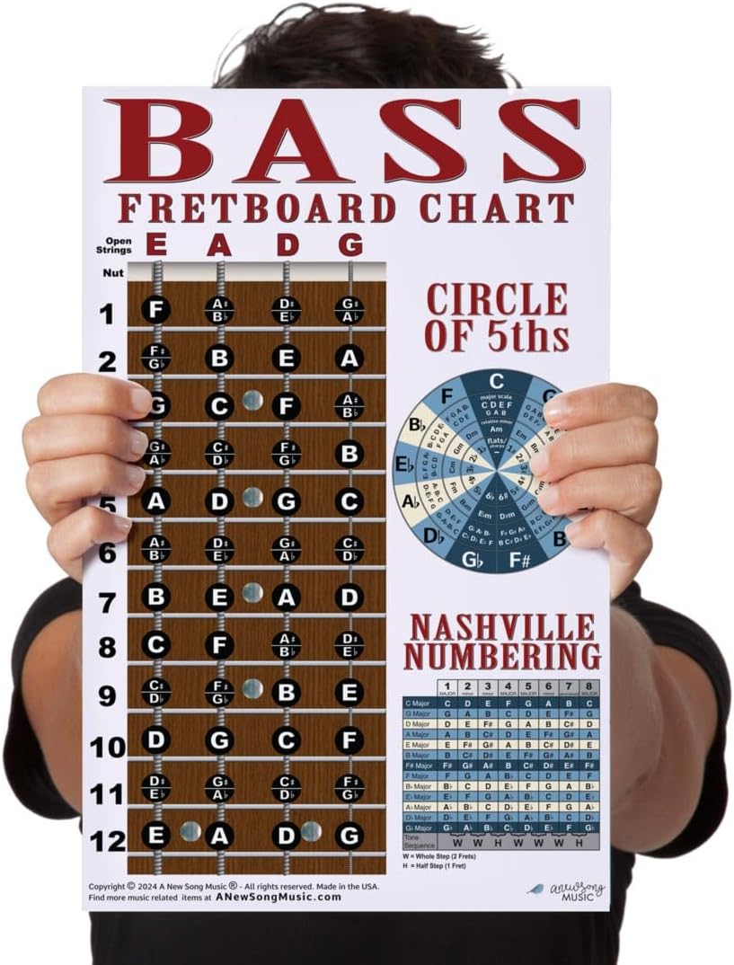A New Song Music Laminated 4 String Bass 11x17 Instructional Chart Poster with Circle of 5ths Nashville Numbering System Beginner
