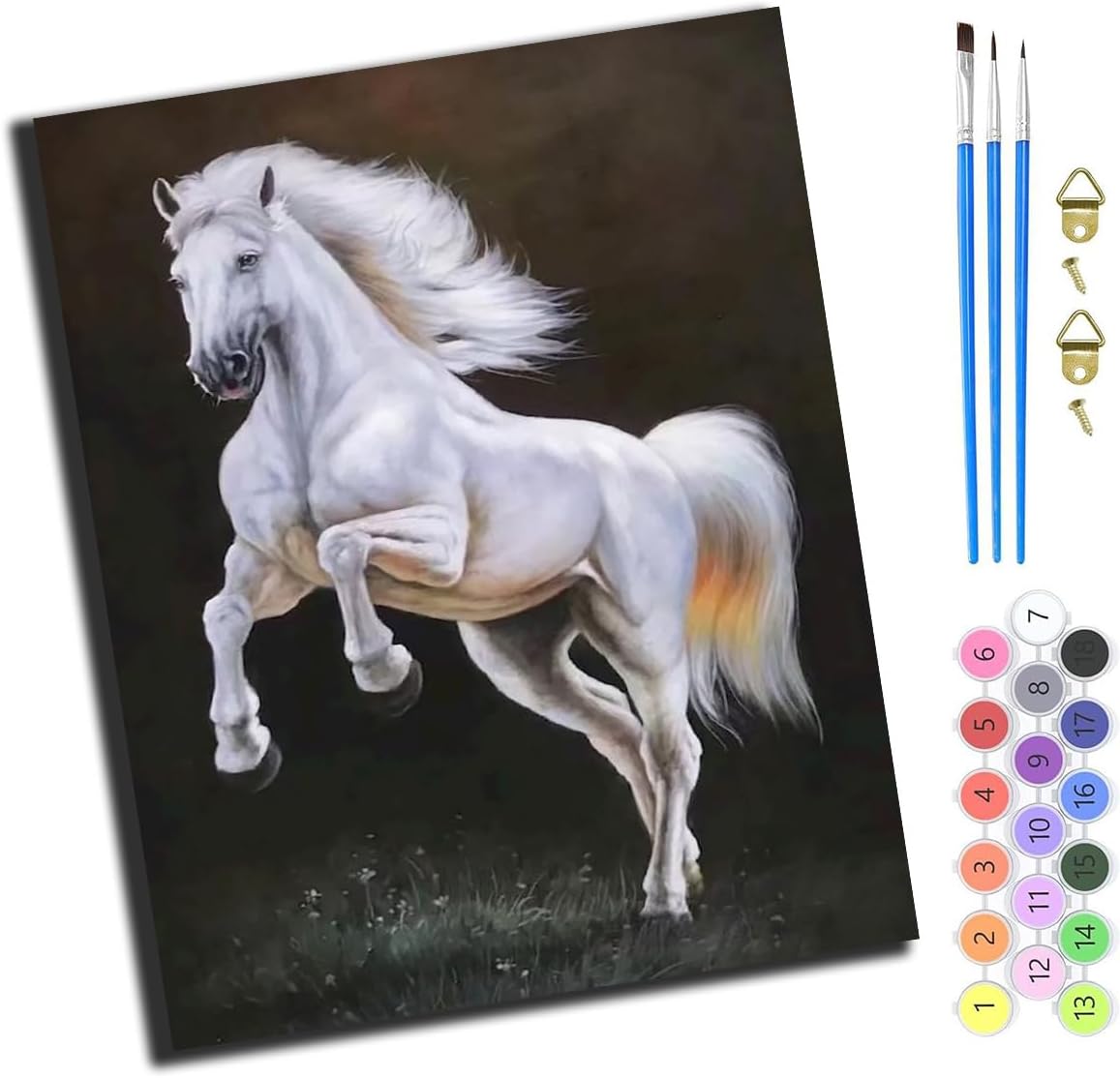 XIAOYOUQIAN White Horse Leaps,Paint by Numbers for Adults,DIY Paint by Numbers for Kids Beginner,Oil Painting for Wall Art,20X16Inch,-Frameless