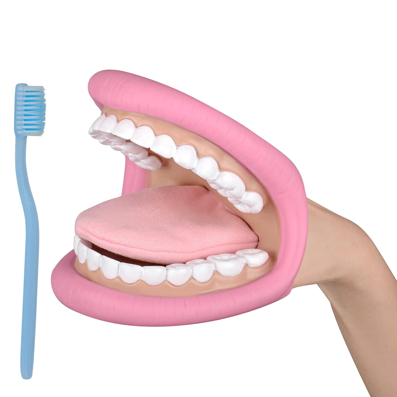 Mouth Hand Puppet Medium Size with Tongue for Teaching Kids