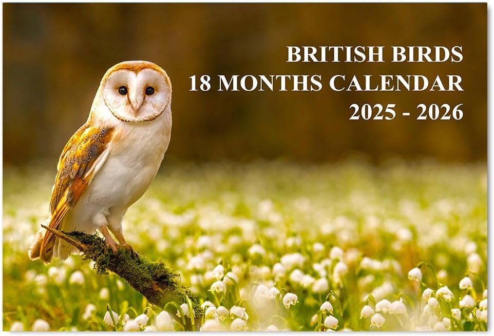 A4 British Birds Calendar 2025 18 Month to View Wall Calendar 2025 UK Jul 2025 to 2026 Dec Perfect for Home, Office, School, Holidays and Planning Papa Prints