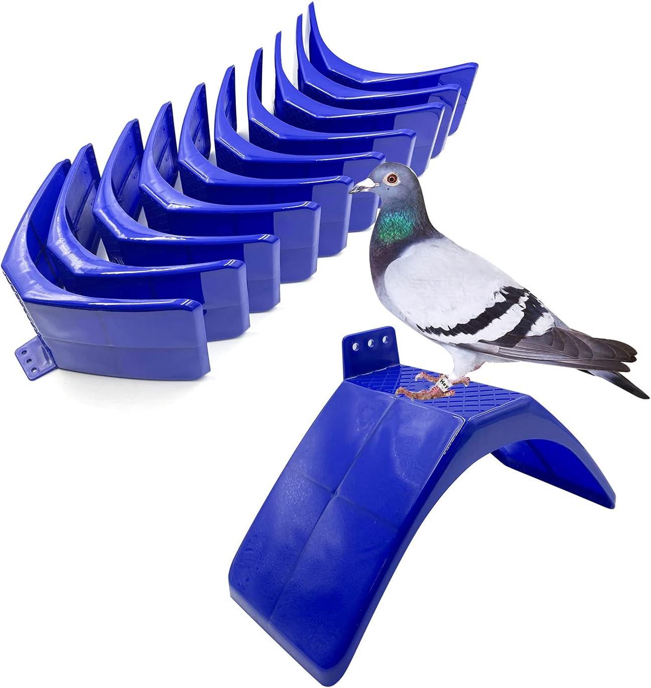 Pigeon Perch,Racing Pigeons Loft Perches Supplies,10PCS Lightweight Dove Rest Stand for Pigeon and Birds