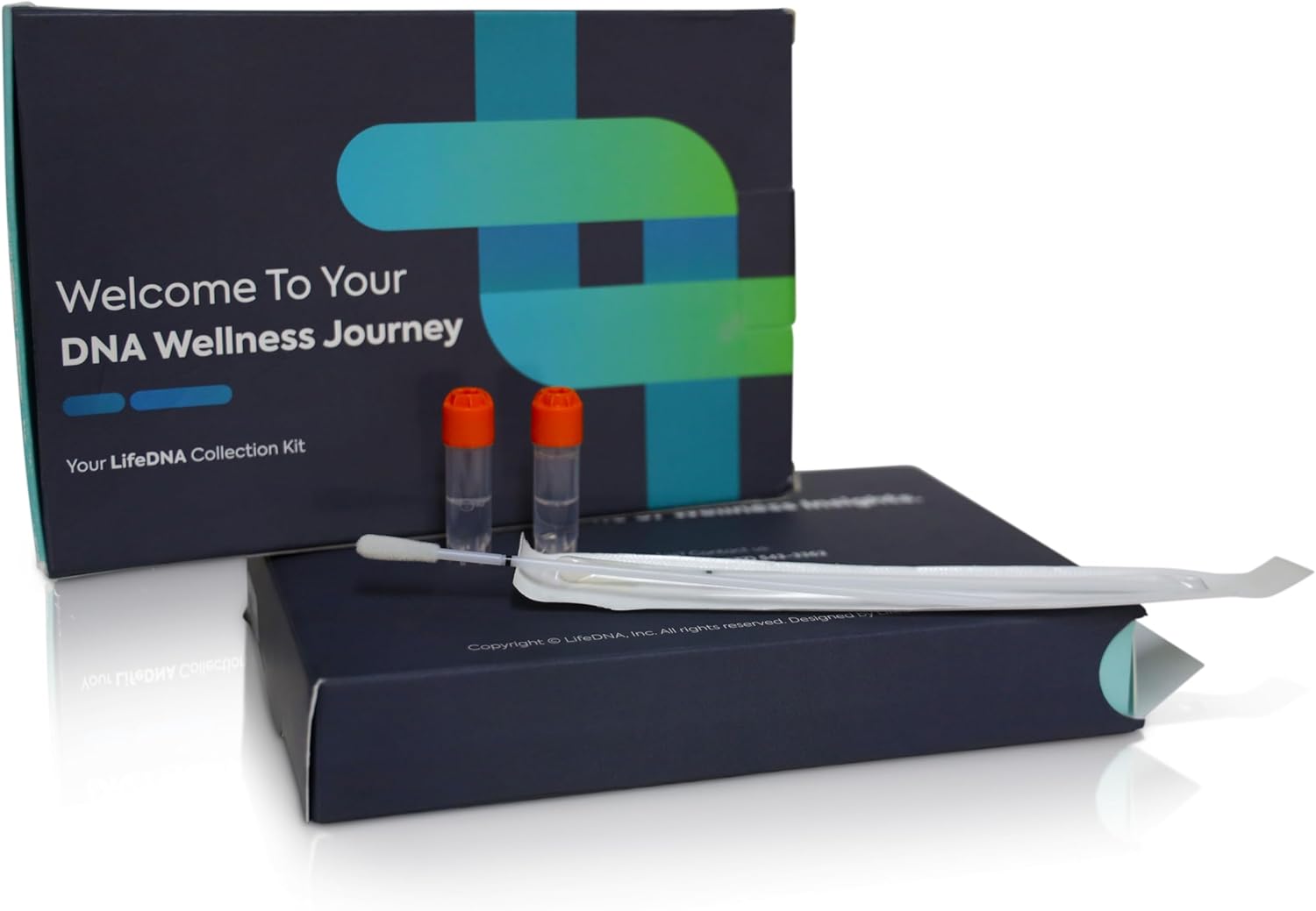 Methylation Genes Test Kit Includes MTHFR Analysis | Analyzes 12 Methylation Gene Variants (MTHFR, COMT, & VDR)