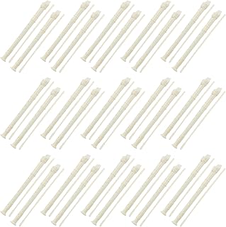 KEILEOHO 30 PCS 8 Holes Recorder Instrument, Descant Soprano Recorder German Style, Recorder Musical Instruments with Cleaning Rod for Beginner