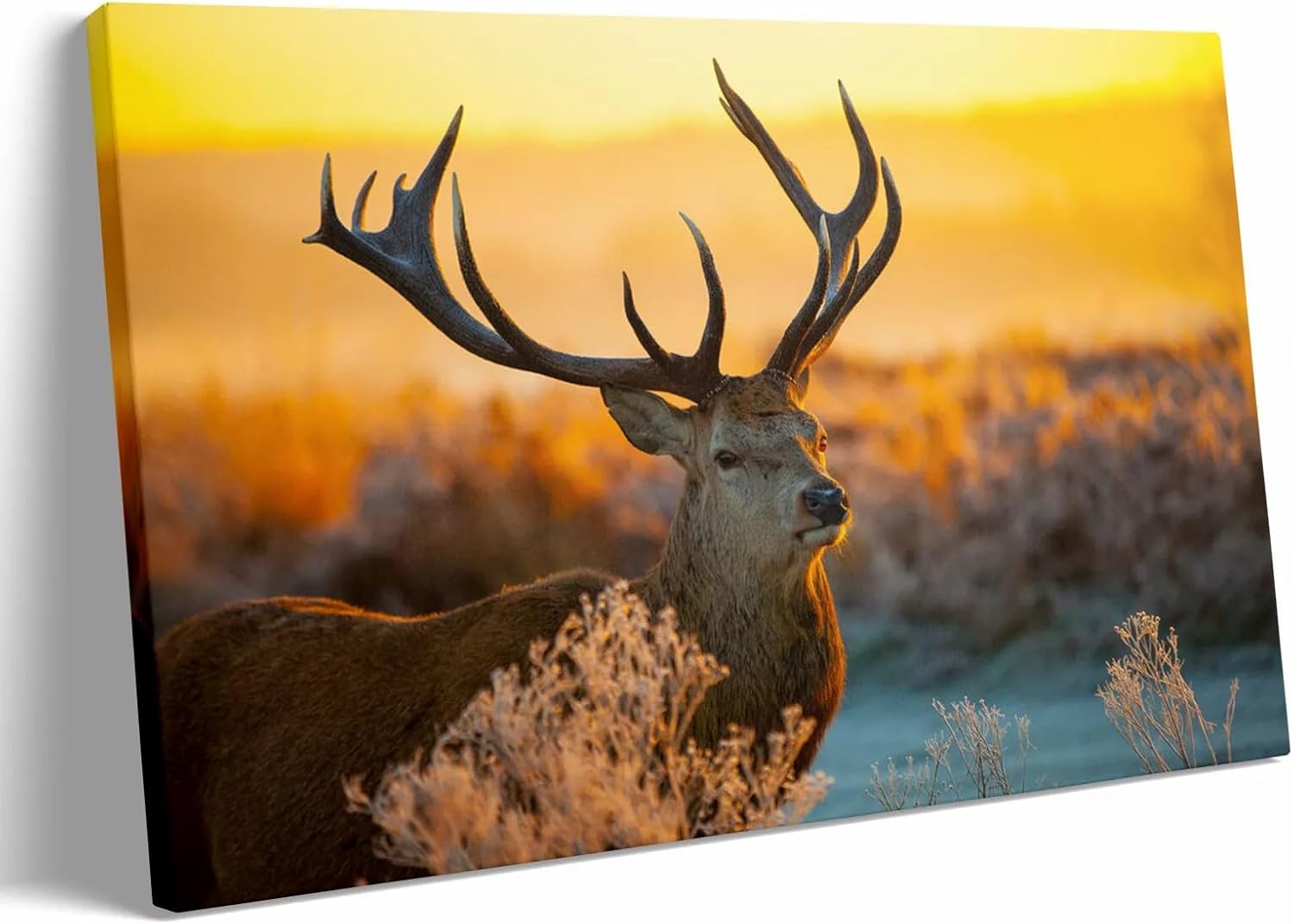 Personalized Custom Poster Prints: 12L x 18W Photo On Canva Transform Your Photos into Stunning Unframed Wall Art Digitally Printed (12L x 18W, Unframed)