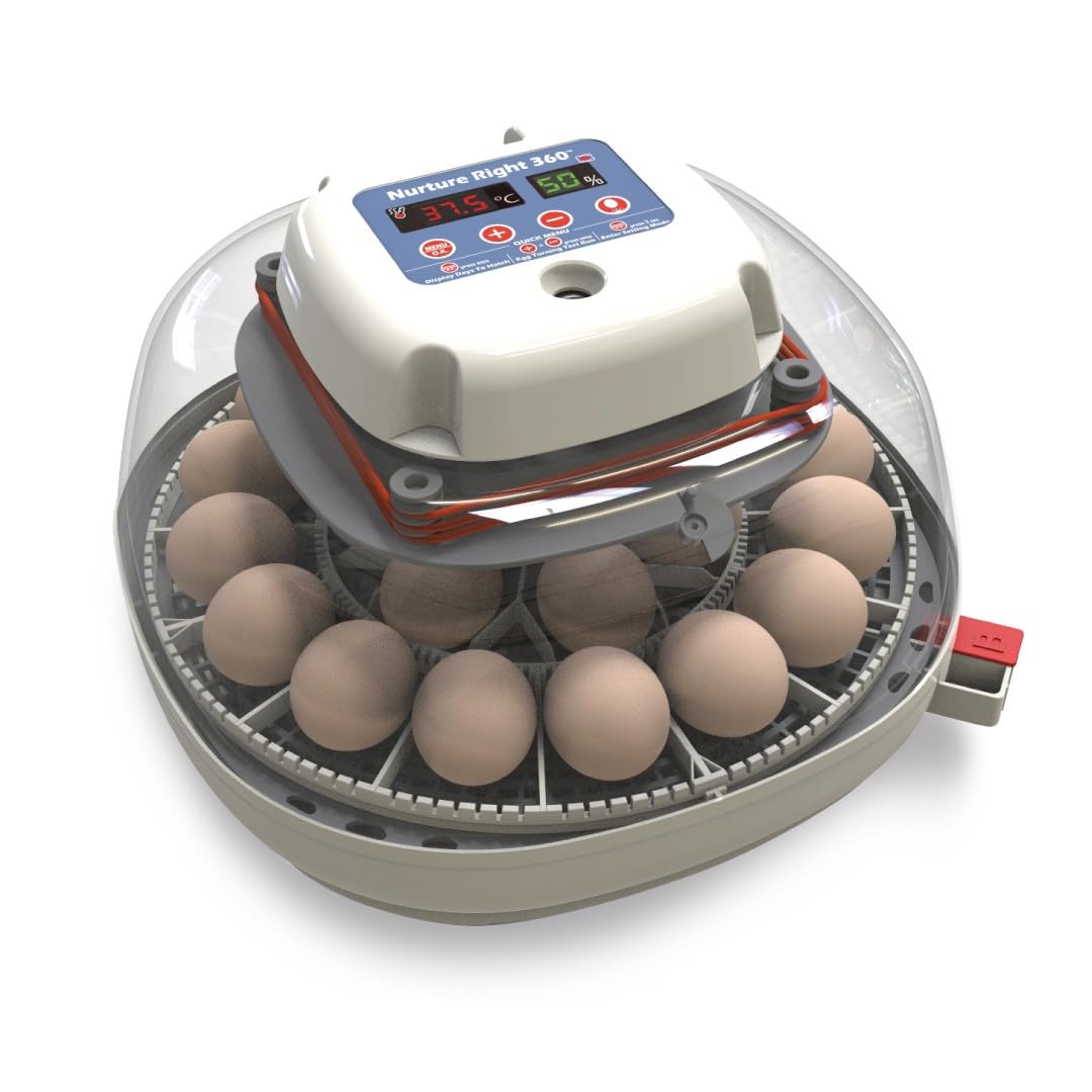Harris Farms Nurture Right Egg Incubator for Hatching Chicks, Holds 12-22 Eggs, Automatic Turner with Temperature and Humidity Control, 360 Degree View with Clear Window, Incubator for Chickens
