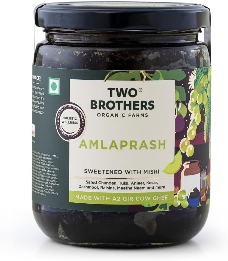 Chyawanprash with Amla | Boost Immunity & Rejuvenation , Anti Oxidant Rich , Supports Digestion | Infused with 40+ Herbs & A2 Ghee | No Additives | Chyawanprash 500gm (17.6 Oz)