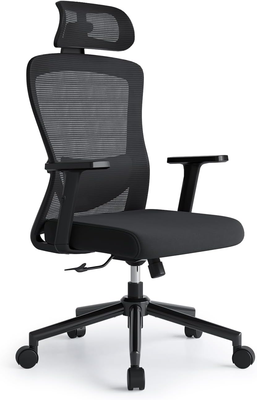Eucladoceros Office Chairs,Ergonomic Desk Chairs with Adjustable Lumbar Support,2D Headrest & Armrest 120° Rocking High Back Mesh Executive Office Chair for home, Desk Chair, Black