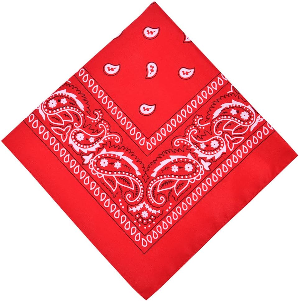 Aomig Bandana Head Scarf for Men and Women, Stylish Cowboy Headband Handkerchief, Multi-purpose Hair Scarf Paisley Print Unisex Headwraps, Bib Party Face Covering Headwear for Motorcycling
