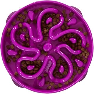 Outward Hound Fun Feeder Slo Bowl, Large Slow Feeder Dog Bowl, 4 Cups, Purple
