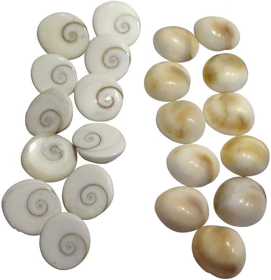 atural Gomati/Gomti Chakra for Puja (White) – 11 Pieces (11)