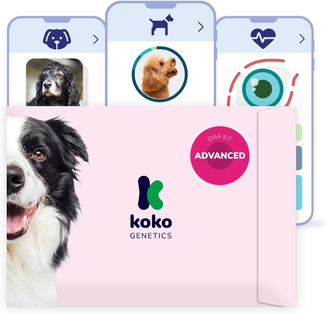 tellmeGen Koko Genetics Advanced DNA Test for Dogs, Analyzes & Identifies 415+ Breeds, Family Tree, Offers 175+ Genetic Health and Traits Reports, Lifetime Updates Included