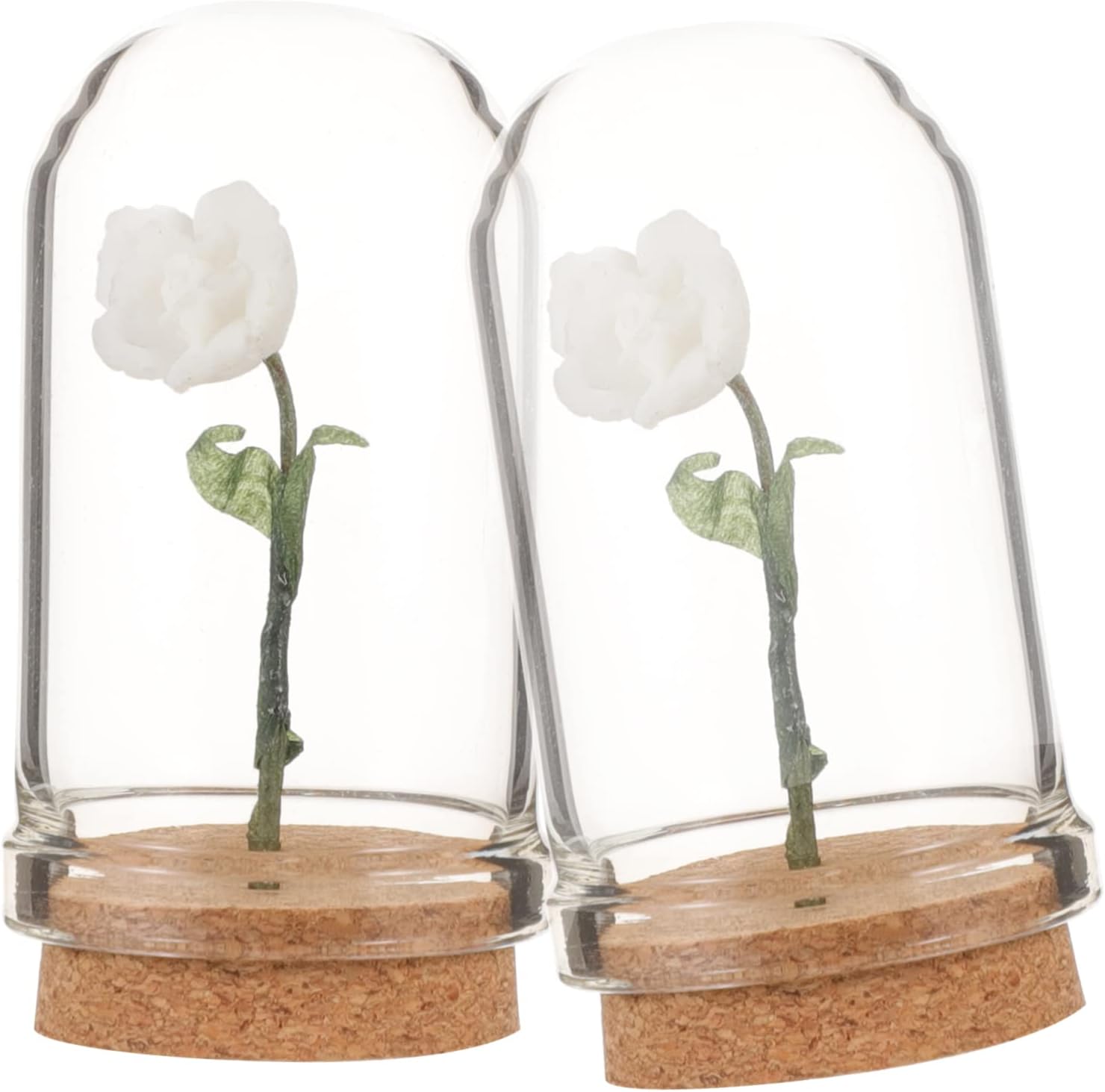 VICASKY 2Pcs Miniature Flower in Dome Tiny Potted Plant Display for Dollhouse Decor Unique Miniature Scene Model for Fairy Gardens Centerpieces
