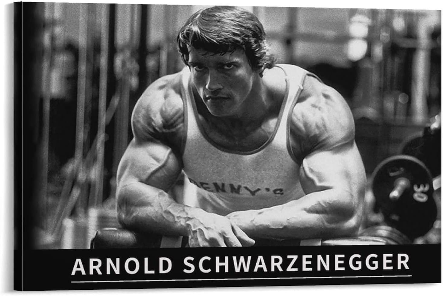KBUYS Arnold Schwarzenegger Gym Motivational Poster HD Canvas Prints Wall Art Room Aesthetics Decor 16x24inch(40x60cm)