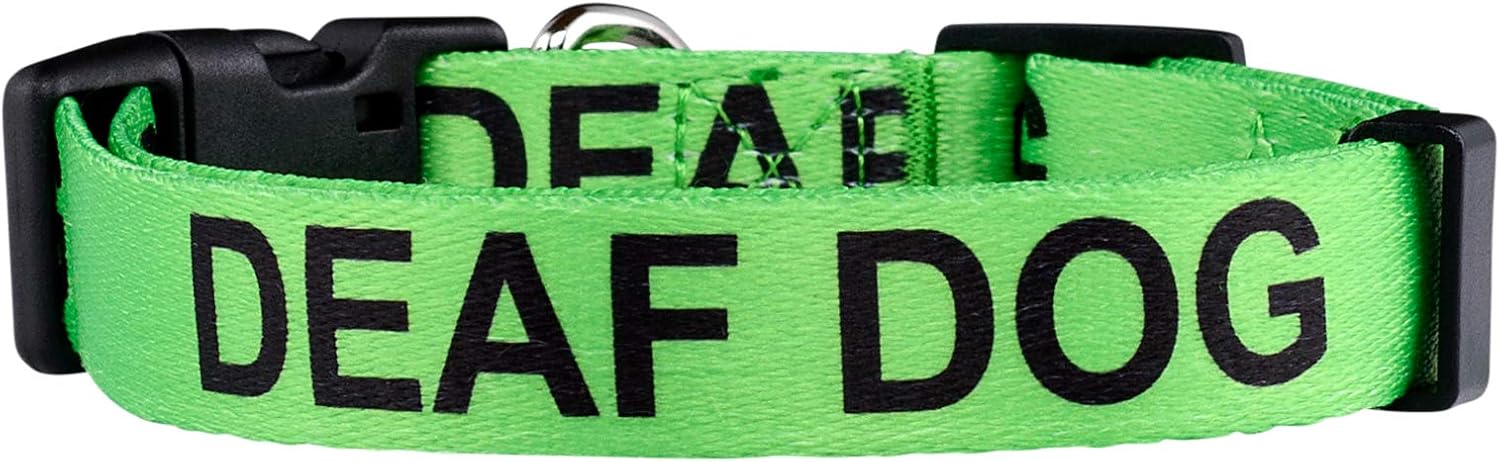 Native Pup Deaf Dog Collar| Hard of Hearing Warning| (Large)