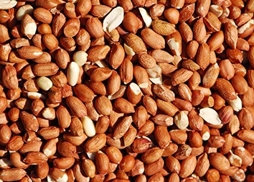 Bird Whole Peanuts - Quality Fresh Feed for Wild Birds Garden (10KG)