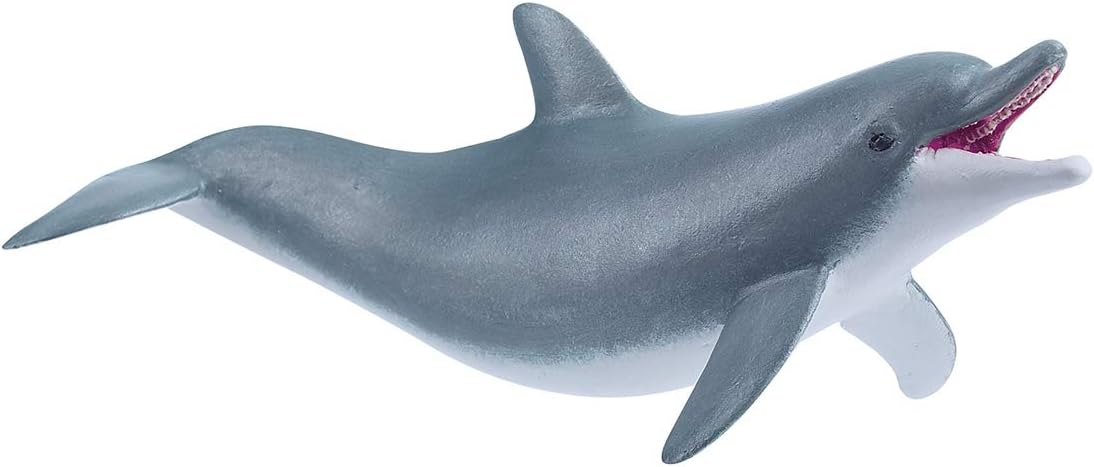 Papo - Animal Figurine - Dolphin, Splendour of Marine Animals for Children from 3 Years - Ocean Exploration and Awareness of Underwater Life