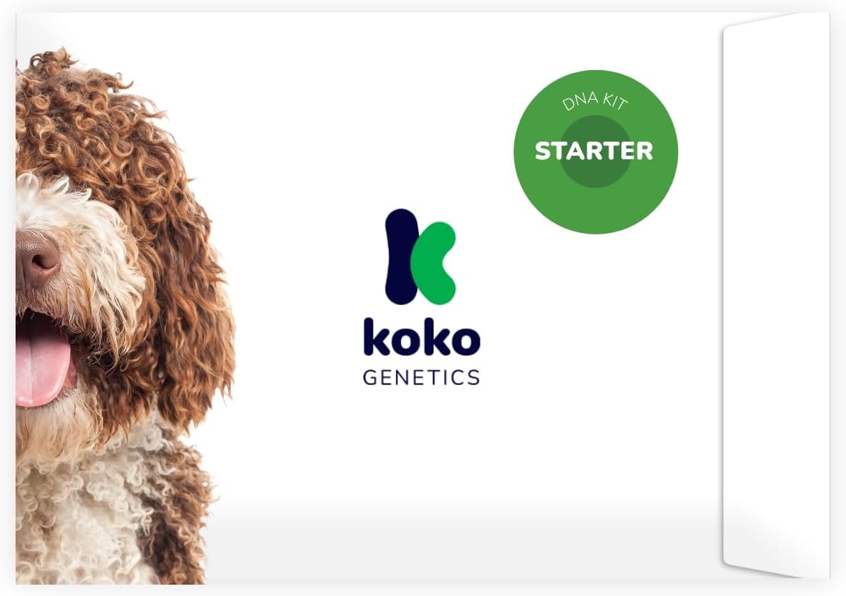 Starter DNA Test for Dogs, Analyzes & Identifies 400+ Breeds and Offers 25+ Genetic Traits and Ancestry Reports, Lifetime Updates Included