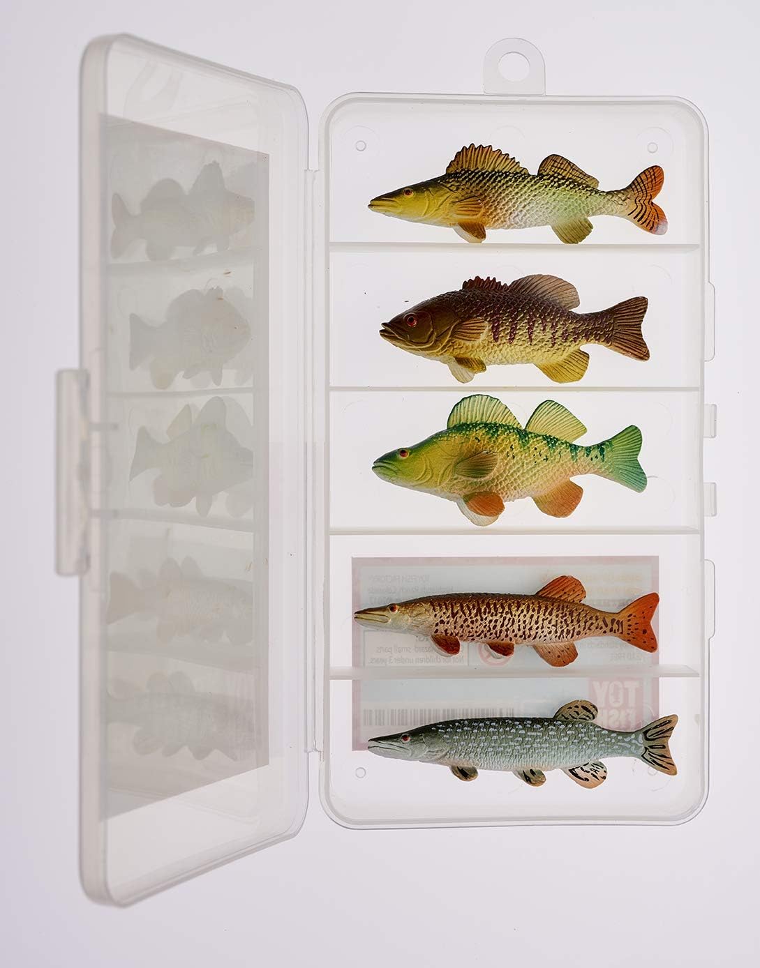 Northern Angler Collection - Educational Fish Figurines | Toy Bass, Pike, Walleye, Musky Replicas