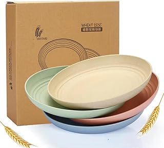 Unbreakable Wheat Straw Plates 9 inch, Reusable Large Plates Set of 4, Dishwasher Safe Easy to Clean BPA Free, Perfect for Kitchen Outdoor Picnic Plates