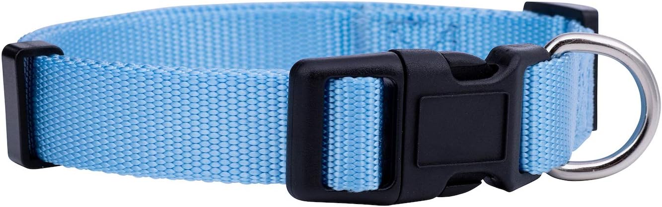 Native Pup Basic Nylon Dog Collar, Adjustable for Small, Medium, Large pet and Puppies Accessories, Cute Colors for Male, Female, boy, Girl, Puppy (Small, Light Blue)