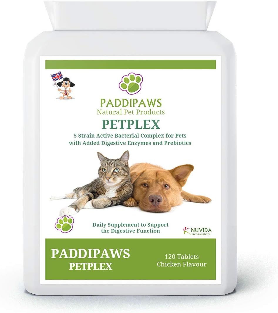 Probiotics for Dogs and Cats - Yeast Infection Treatment for Dogs - Dog Probiotics for Gut Health - 5 strain active bacteria with digestive enzymes and prebiotics - 120 Chicken Flavour Tablets.
